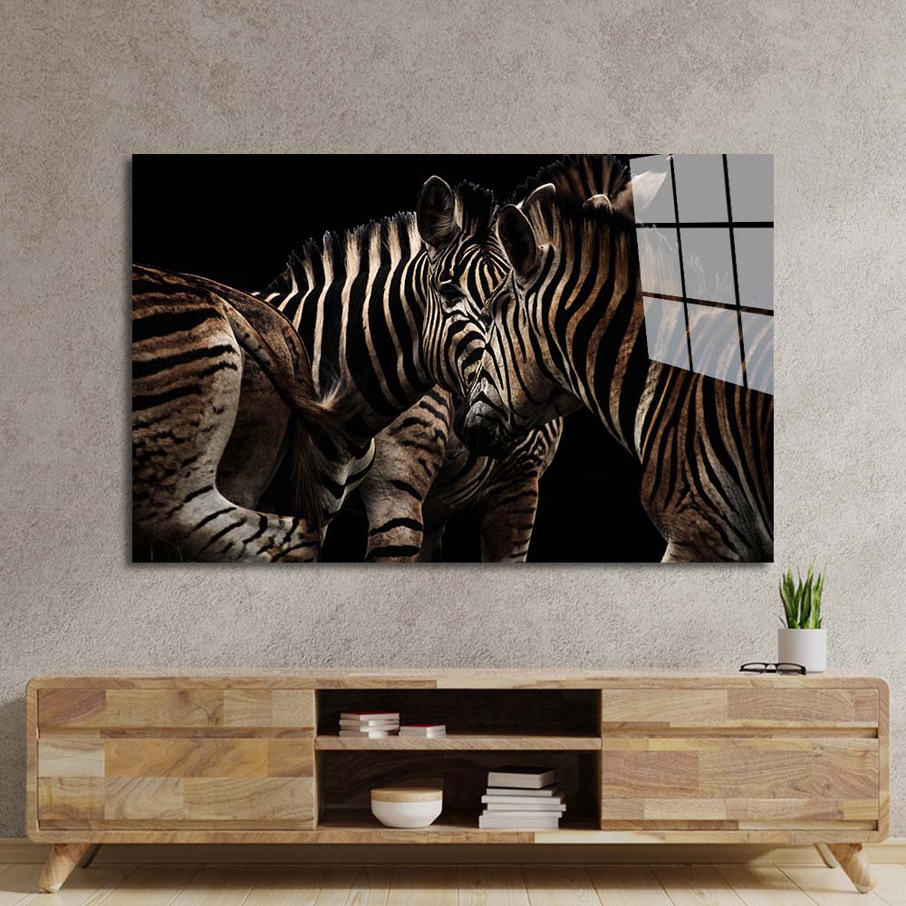 Zebra Family Close Up Black Background Glass Wall Art
