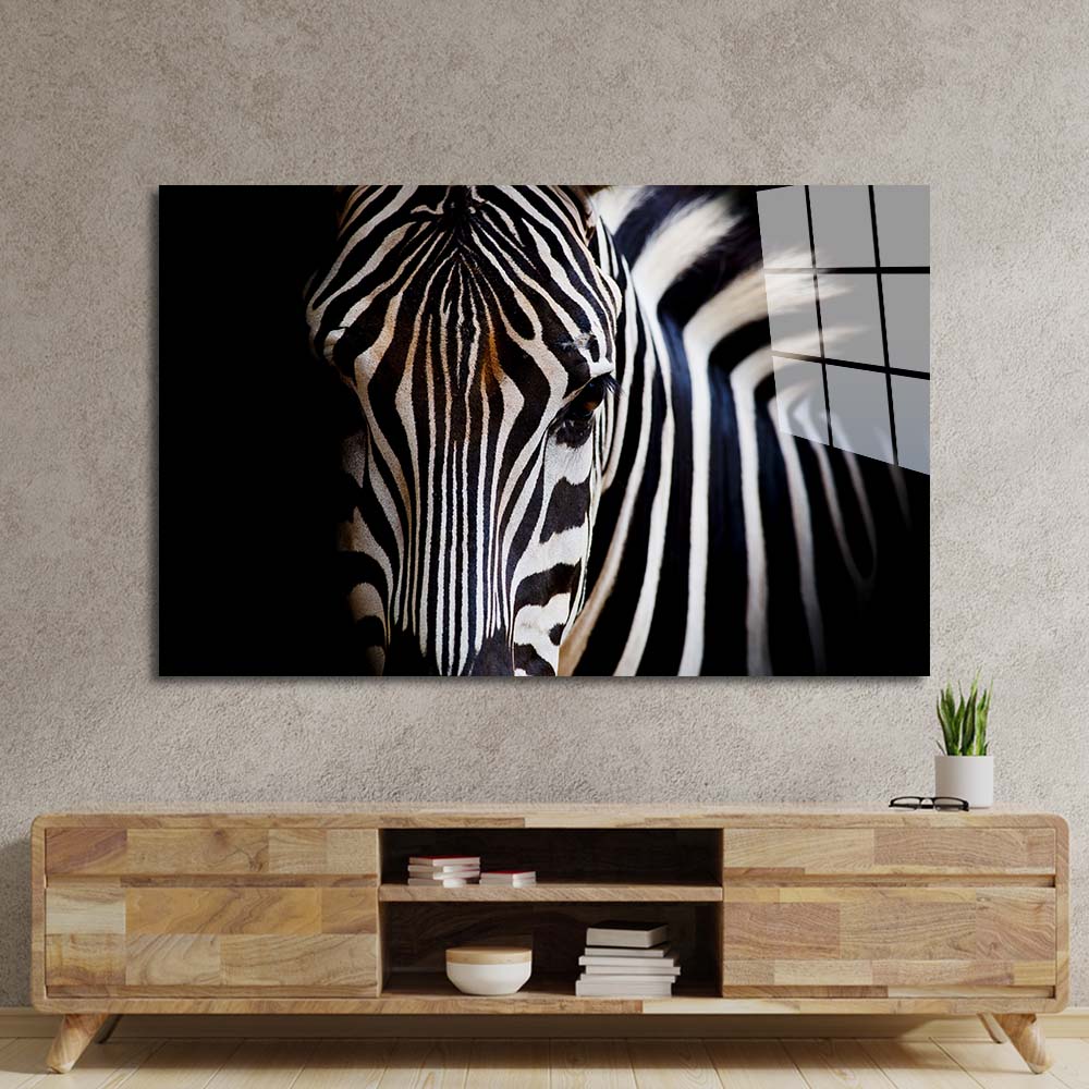 Zebra Spotlight Black Background Glass Wall Art