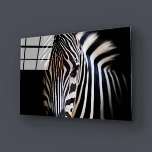 Zebra Spotlight Black Background Glass Wall Art