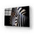 Zebra Spotlight Black Background Glass Wall Art